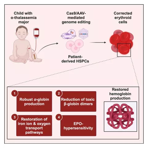 Cromer Lab Research 1